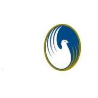 Peace Village logo - Similar company to Glow Ai