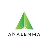 Analemma Group logo - Similar company to Infrigidate Engineers India Pvt Ltd