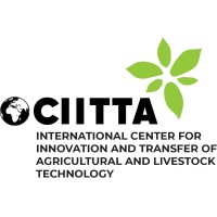 CIITTA logo - Similar company to Interciittaa/ Ciittaa Intl