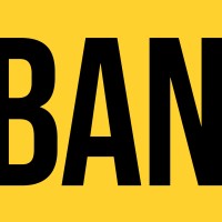 Banoui consulting logo - Similar company to Pub