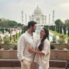 Travel Creators Of India logo - Similar company to Species Conservation Fund