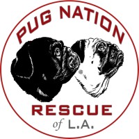 Pug Nation of Los Angeles logo - Similar company to Wraithmarked Creative, Llc