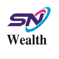 SN Wealth logo - Similar company to Sn Wealth