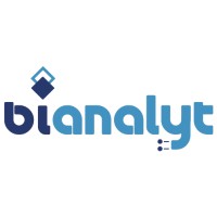 BIAnalyt MiddleEast Solutions Technology logo - Similar company to Timus Solutions