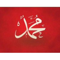 Mehdi LLC logo - Similar company to Mehdi Codes