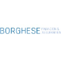 Borghese Financien & Assurantien BV