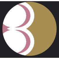 Battles Insights logo - Similar company to Referscout