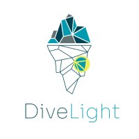 DiveLight logo - Similar company to Rarepublic