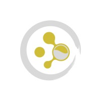 Xgile IT logo - Similar company to Sriven It Solutions