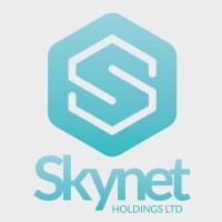 Skynet Holdings Ltd. logo - Similar company to Holidayzer.Com