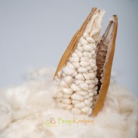 KAPOK INDONESIA logo - Similar company to Eye For You