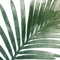 Estudio Palm logo - Similar company to Molaidea