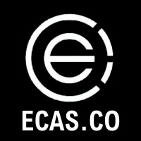 ecas.co.in logo - Similar company to V21 Capital