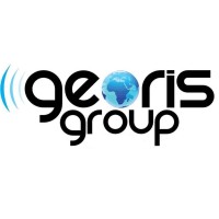 Georis Group SA logo - Similar company to D-Analytica