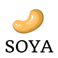 Square of Youth Association logo - Similar company to Develop Most S.R.O.