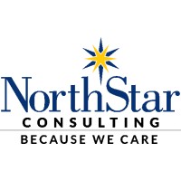 NorthStar Consulting India logo - Similar company to Metafor