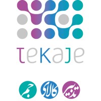 Tekaje logo - Similar company to Tekaje