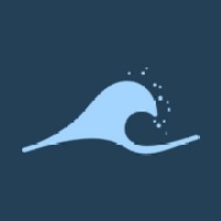 Blue Tide Catalysts logo - Similar company to System & Soul