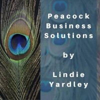 Peacock Business Solutions, LLC logo - Similar company to Peacock Business Solution
