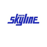 Houston Skyline Volleyball