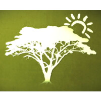 Children of Songea logo - Similar company to Solarmed