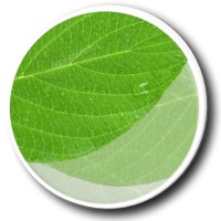 GV Soluções Ambientais logo - Similar company to Savana Meio Ambiente