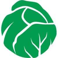 LettuceMeet logo - Similar company to Wikimart