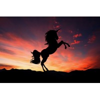 Stallion Technologies Pty Ltd logo - Similar company to Maestro Wireless Solutions