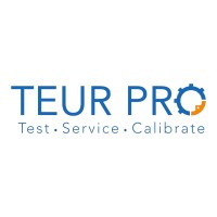 TEUR Pro Group logo - Similar company to D-Risk Group