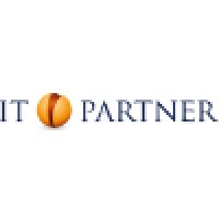 Business It Partner