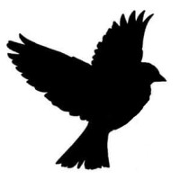 Piaf Bilişim ve Yayıncılık San. Tic. Ltd. Şti. logo - Similar company to Nif Bilişim