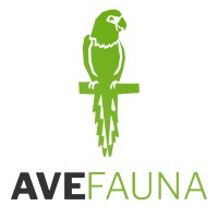 Ave Fauna logo - Similar company to Duo Mind Consultoria