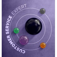 Customer Service Expert logo - Similar company to Success Origin