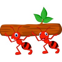 A New Tomorrow (ANT) logo - Similar company to Liquify