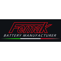 FEMAK SRL Socio Unico logo - Similar company to Swaytronic (Schweiz) Ag