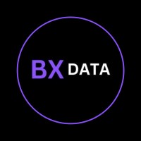 BxData Tech Solution logo - Similar company to Webspire