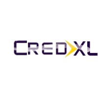 CredXL Ventures Private Limited logo - Similar company to Digiengineers