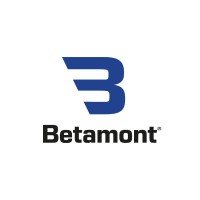 BETAMONT Ltd. logo - Similar company to Минимакс-94