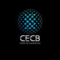 Cellule d'expertise en chaîne de blocs du Cégep de Shawinigan logo - Similar company to Colbanet