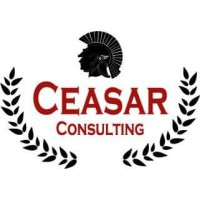 Ceasar Consulting logo - Similar company to Warena