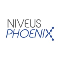 Niveus Phoenix logo - Similar company to Constant Clock Studios