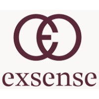 Nordic Exsense AB logo - Similar company to Konsultnet