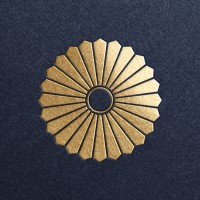 Mira Sol Creative logo - Similar company to Jayne