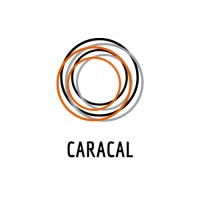 Caracal logo - Similar company to Brigadoon