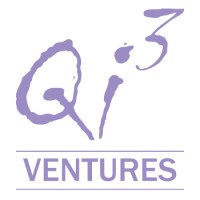 Qi3 Ventures logo - Similar company to Qi3 Consulting