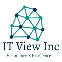 ITView Inc logo - Similar company to Virtubox Infotech Pvt Ltd