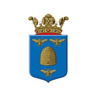 Gemeente Borne logo - Similar company to Noaberkracht