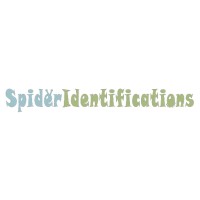 Spider Identifications