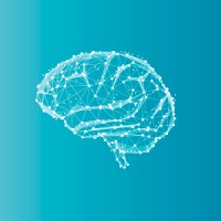 Change Your Brain Foundation logo - Similar company to Brainmd