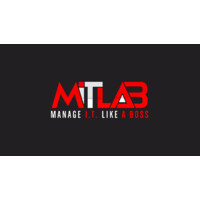 MITLAB logo - Similar company to Ids